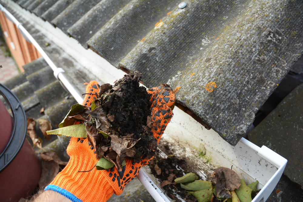Roof gutter cleaning with hand from fallen leaves.